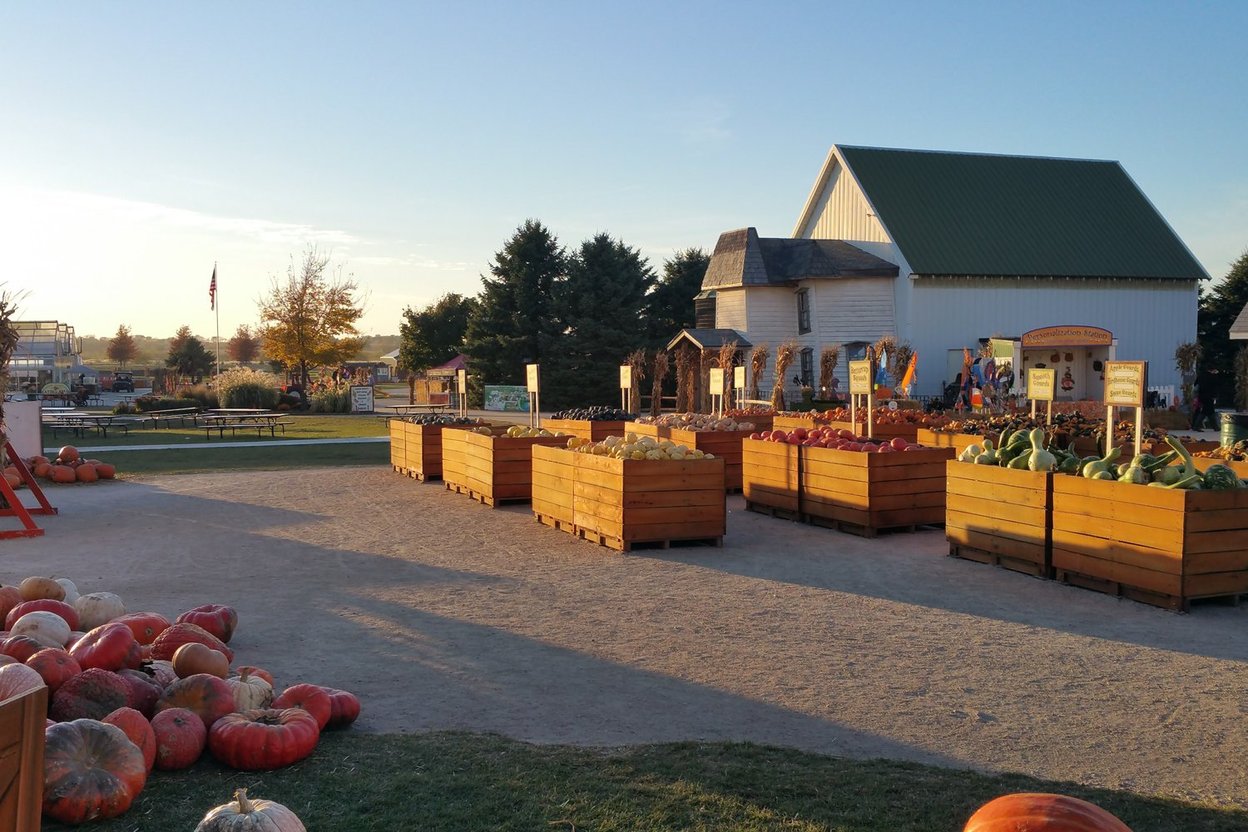 Kids exploring the pumpkin patch and activities at Goebbert's Farm on a fall afternoon
