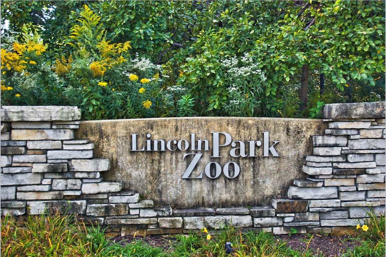 Lincoln Park Zoo entrance at dusk in autumn, with fall-colored trees and a lantern-lit path leading into the grounds.