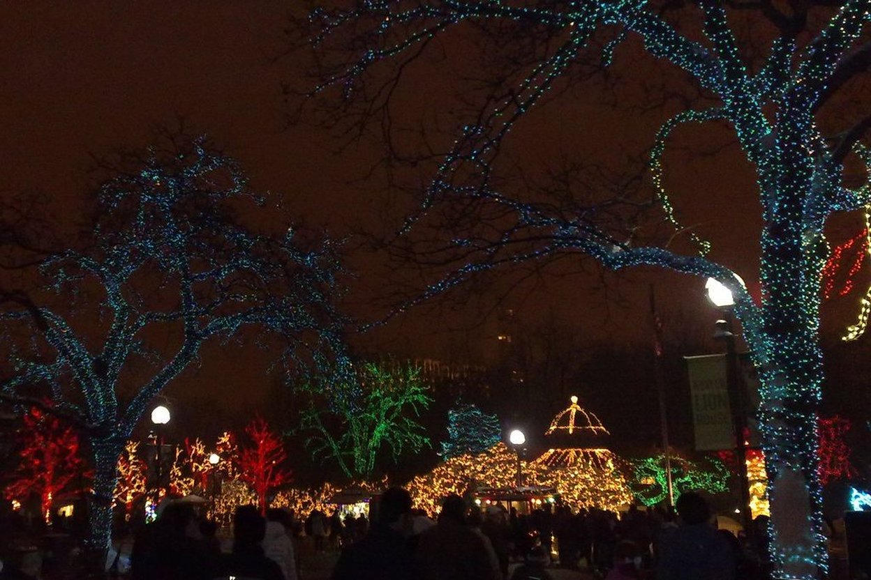 Nighttime holiday lights decorate trees and a gazebo in a crowded park.
