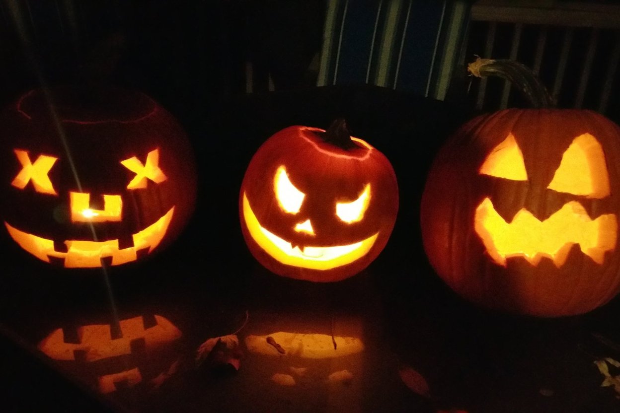 Glowing jack-o'-lanterns carved with Halloween themes line a paved path at the Chicago Botanic Garden after dark